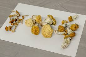 Psilocybin